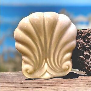 Sea Shell l Napkin or Mail holder l Home, Office, Bath l Glazed Ceramic, Glass
